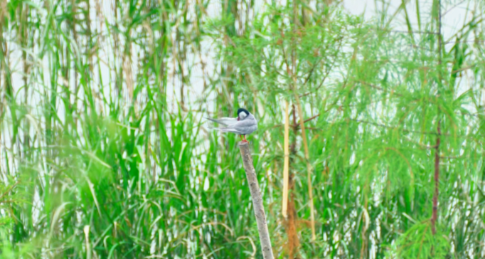 微信图片_2025-10-24_143333_358.png