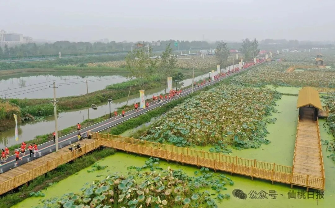 微信图片_2025-10-24_145223_115.webp
