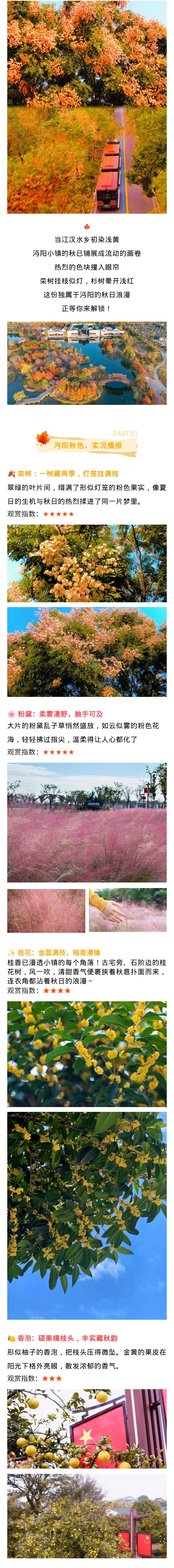 135editor_11061642_690c5f673843720251106164215 - 副本.jpg