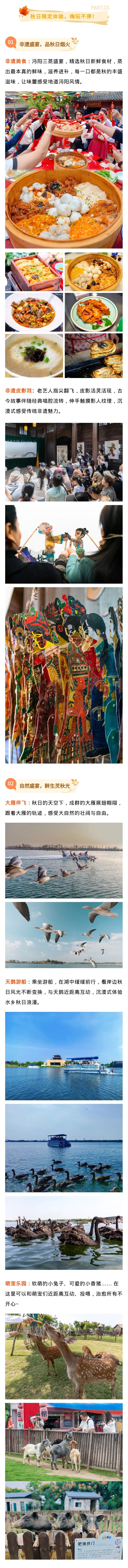 135editor_11061642_690c5f673843720251106164215 - 副本 (3).jpg