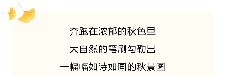 九合院 - 副本.jpg