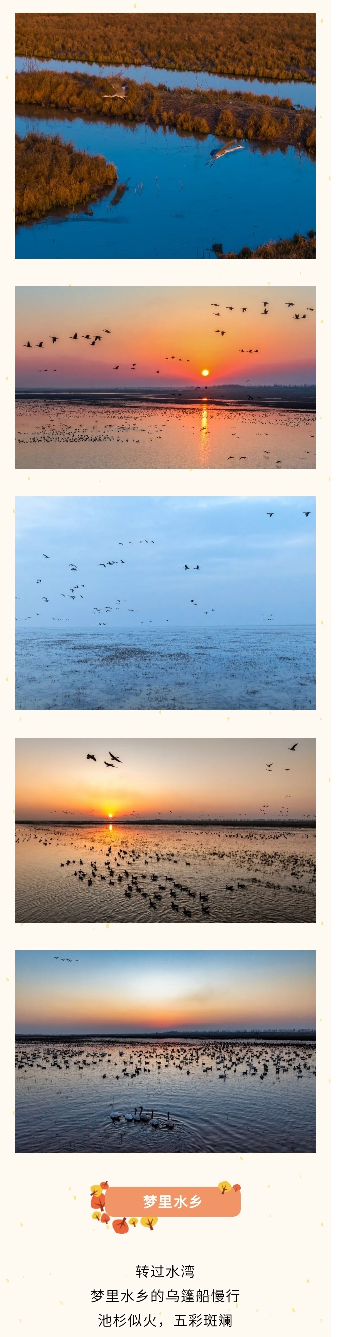 秋冬请柬 - 副本 (2).jpg