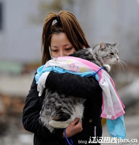 2011年3月15日，一位女士抱着她的猫走在仙台湾北部港口被海啸摧毁的街道上。