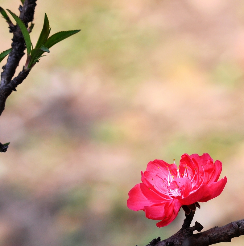 DSC_3500.jpg