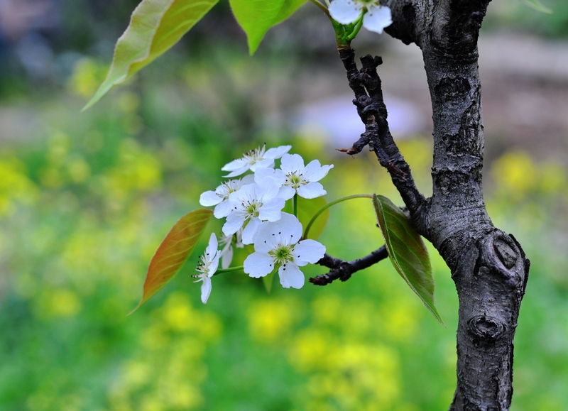 DSC_4280.jpg