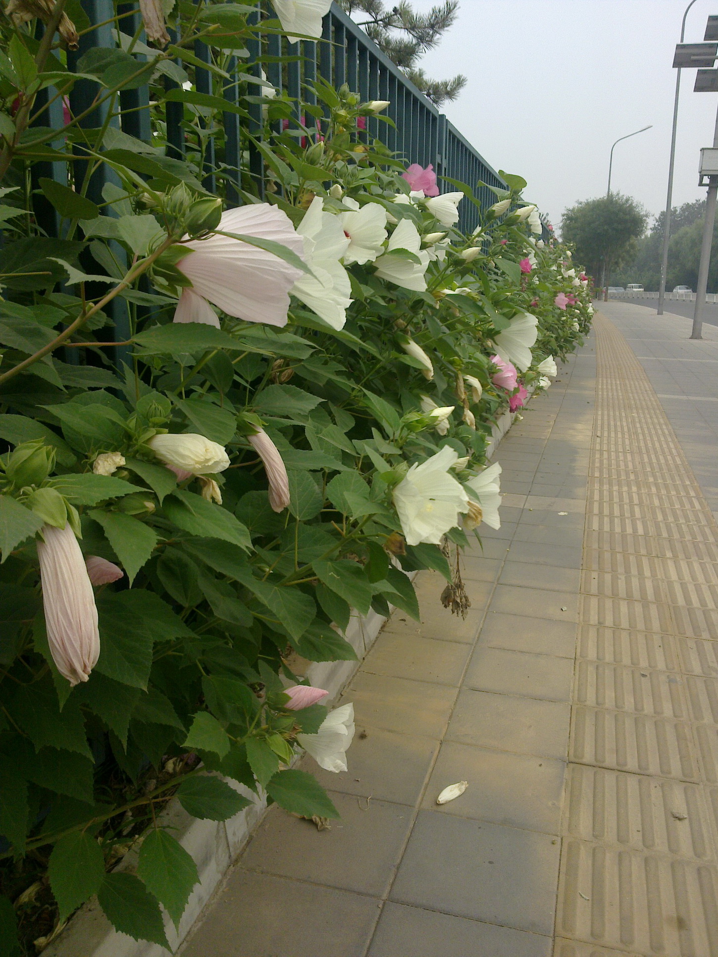 201107141412.jpg