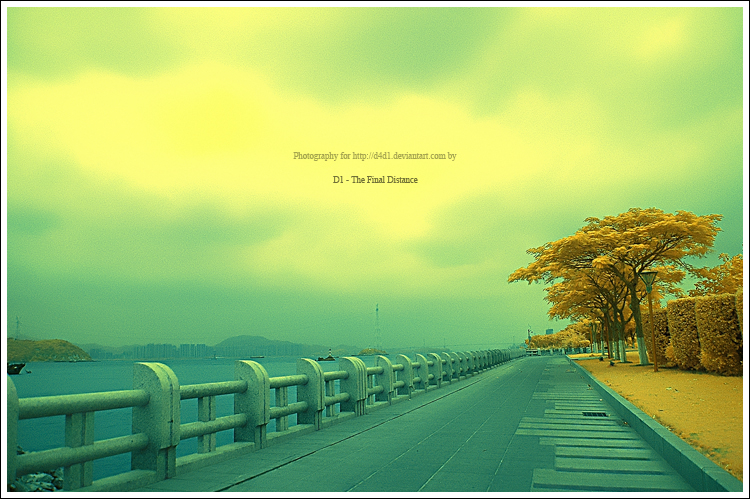 48_153345_98daeb5e53882ad.jpg