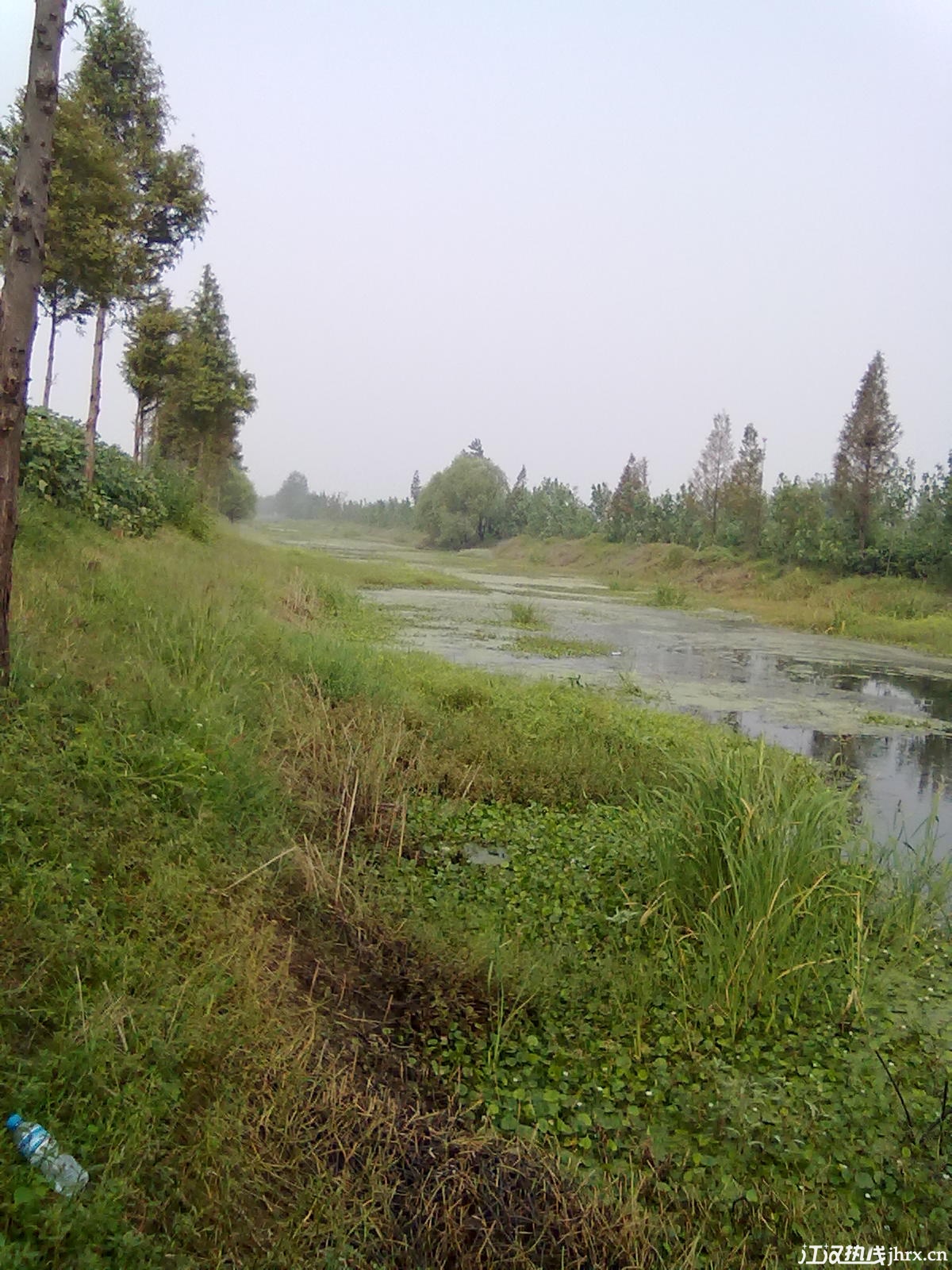 20110904296.jpg