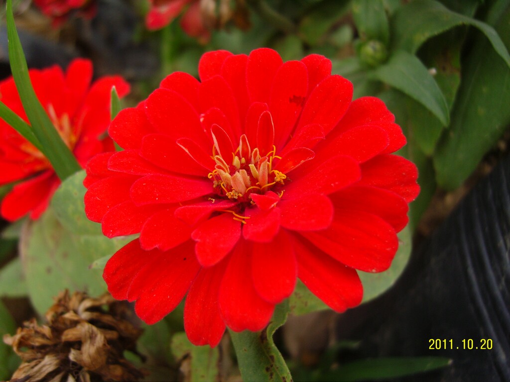 SNC10191.JPG