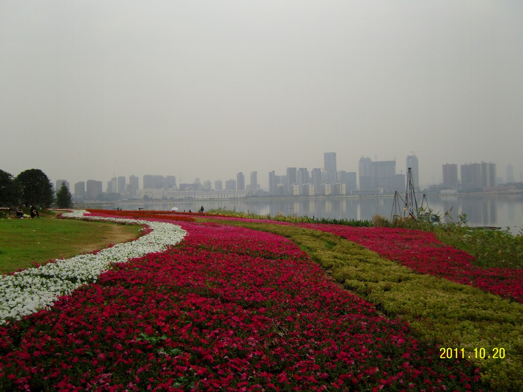SNC10135.JPG