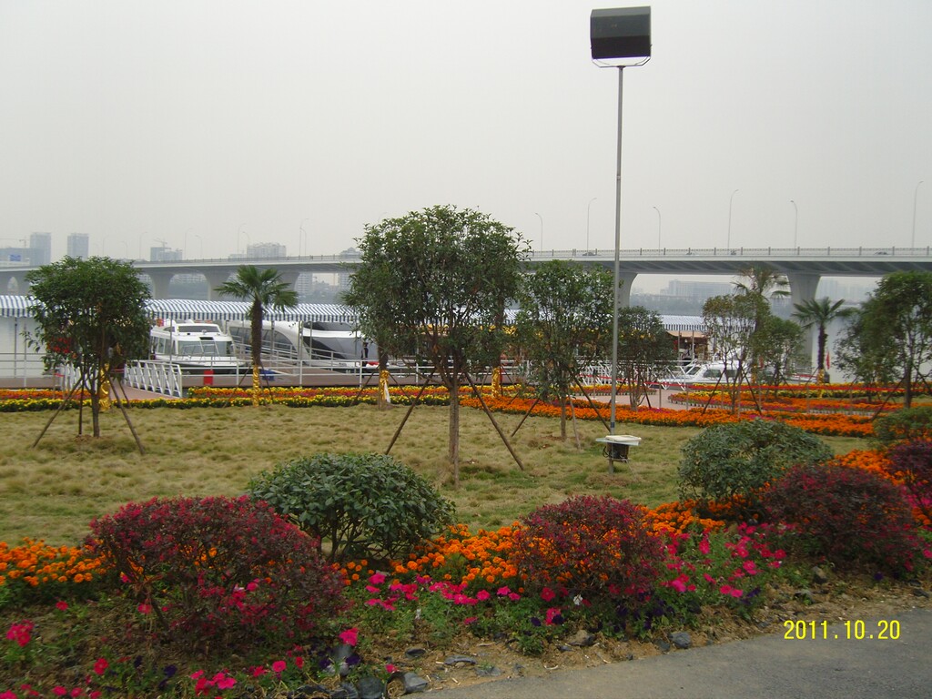 SNC10133.JPG