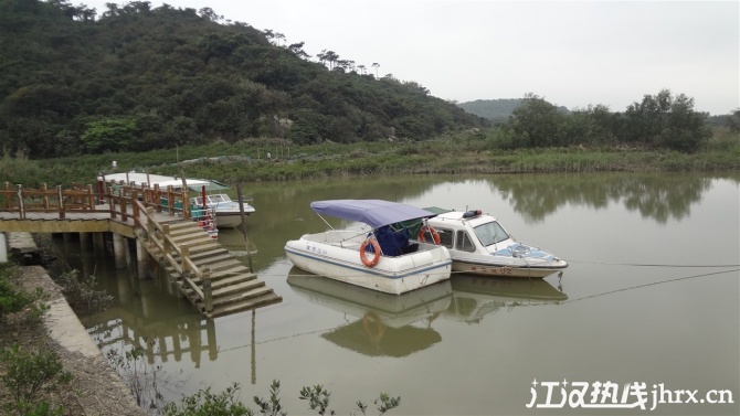 淇澳岛红树林