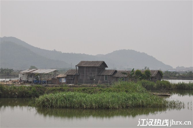 淇澳岛红树林