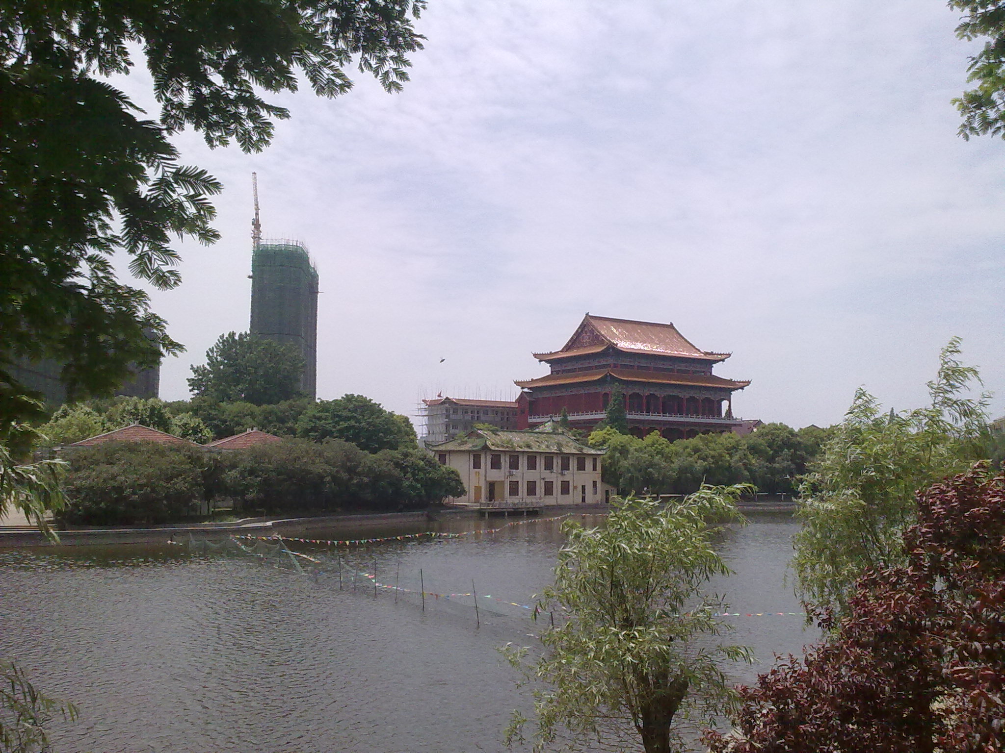 20120516601.jpg