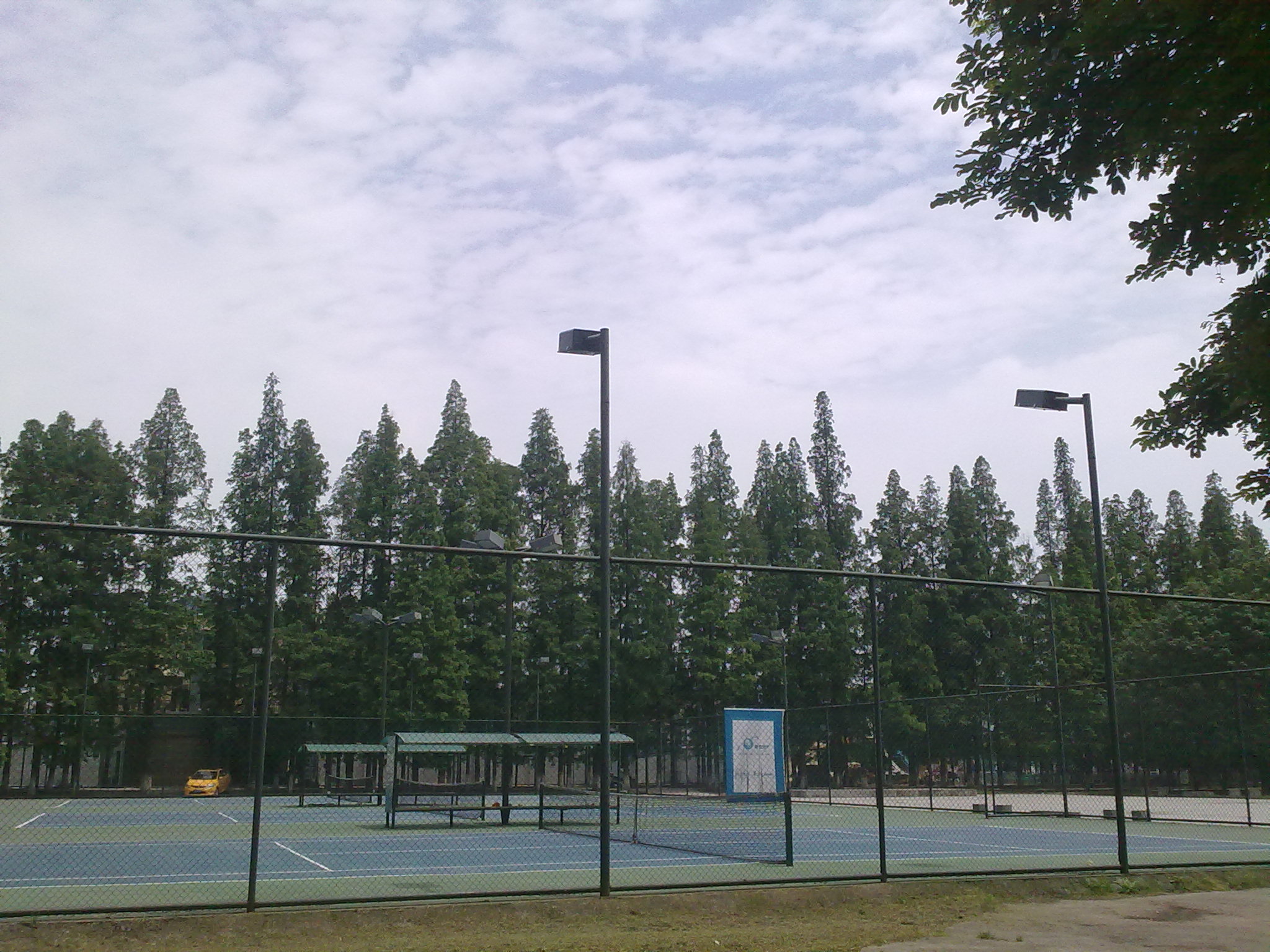 20120516600.jpg