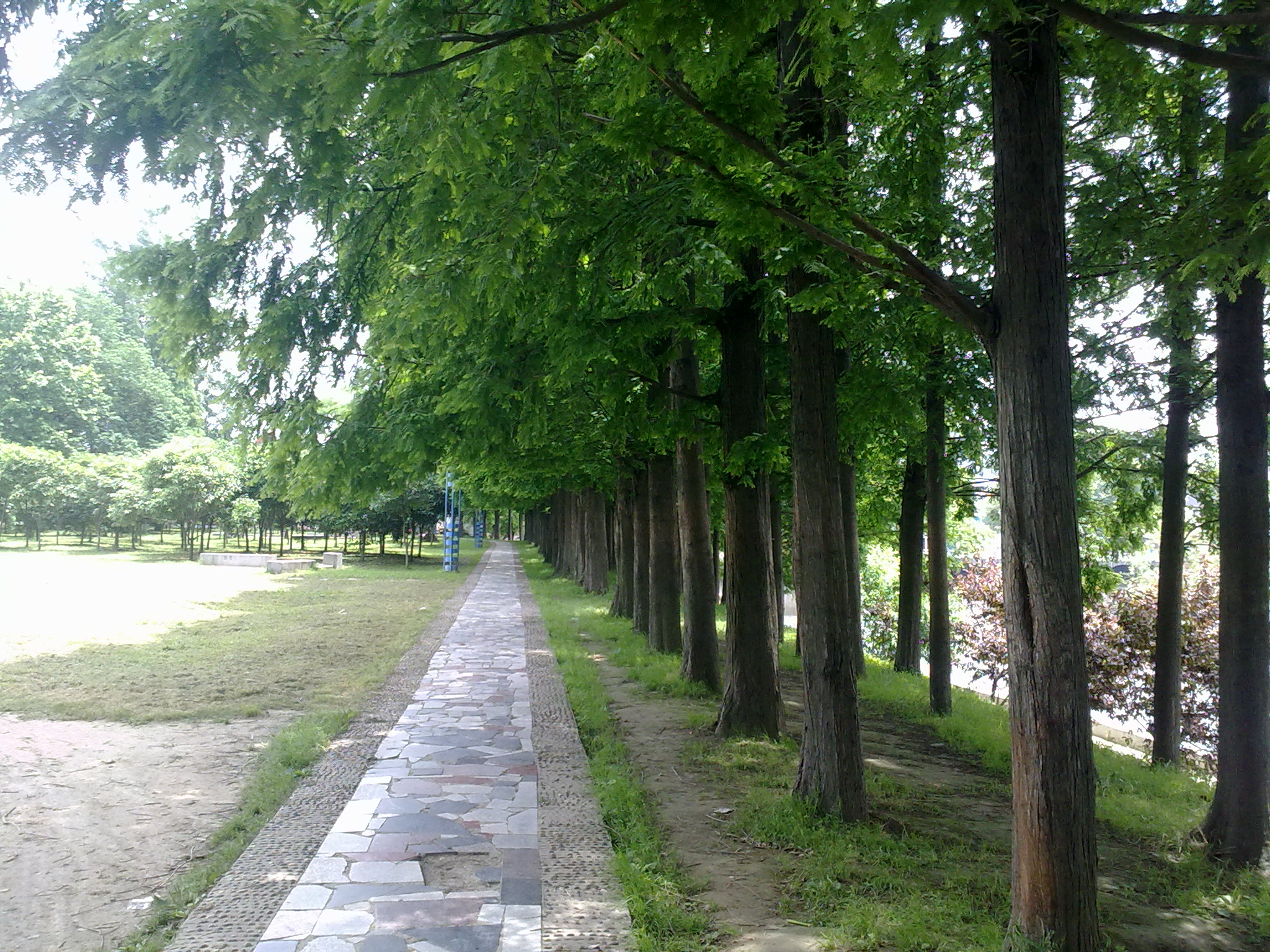 20120516602.jpg