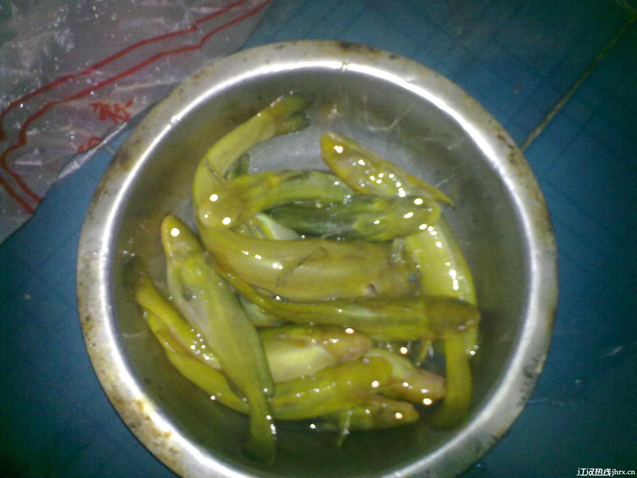 201205222776.jpg