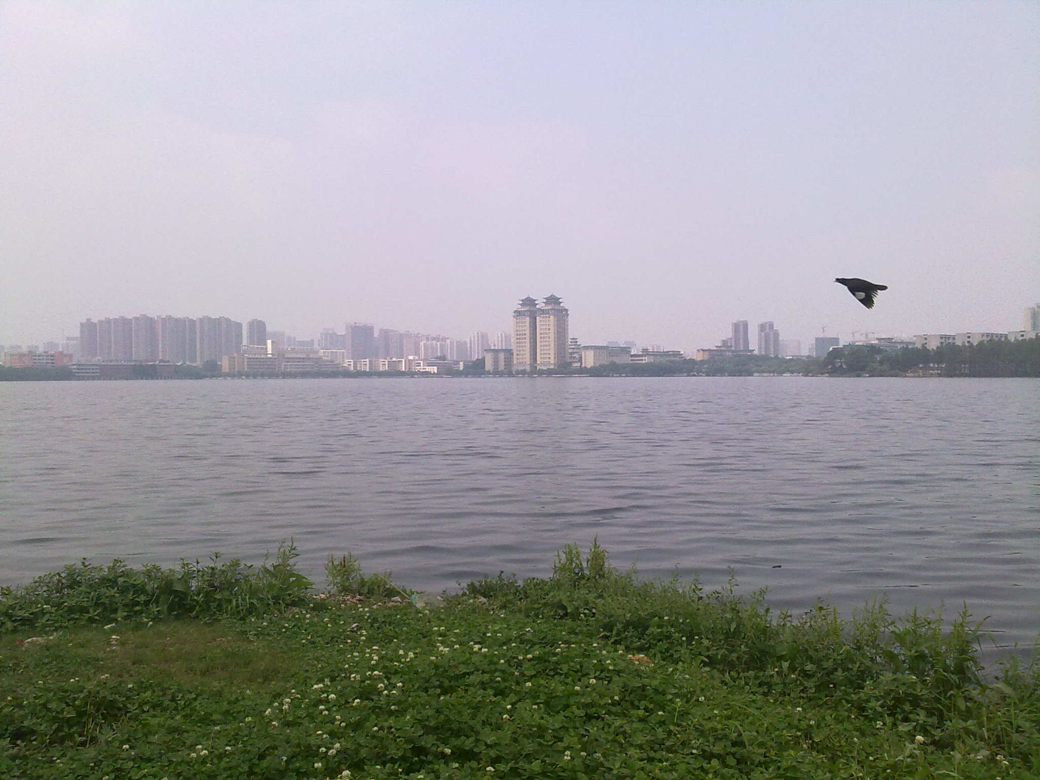 20120530670.jpg