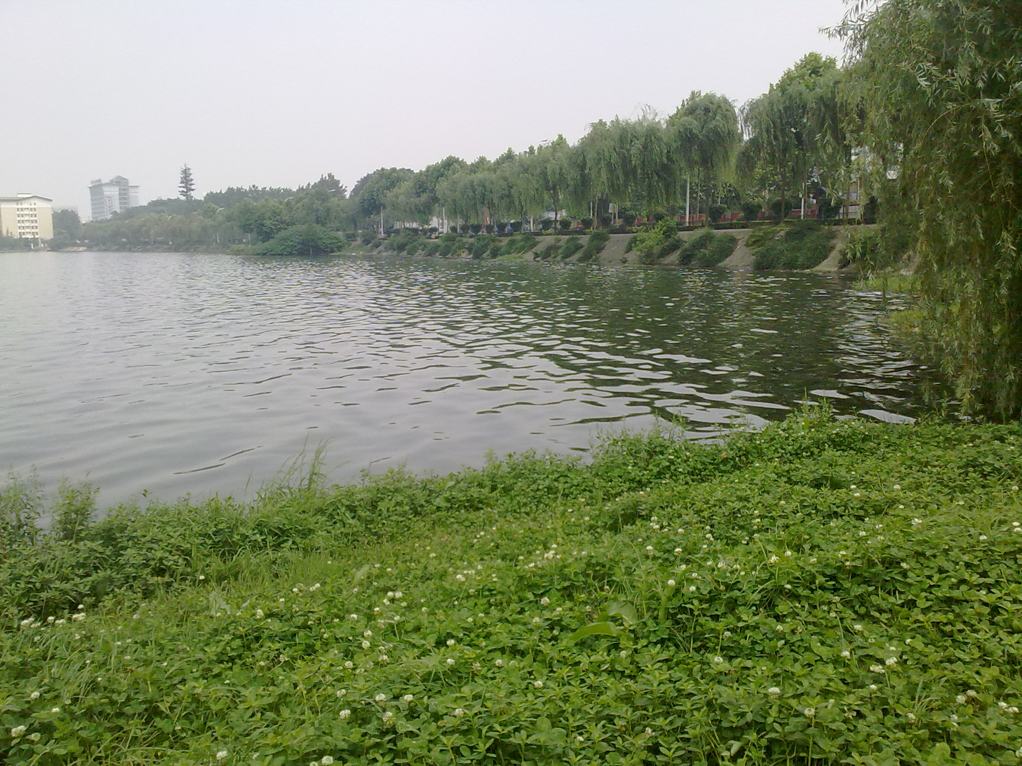 20120530672.jpg