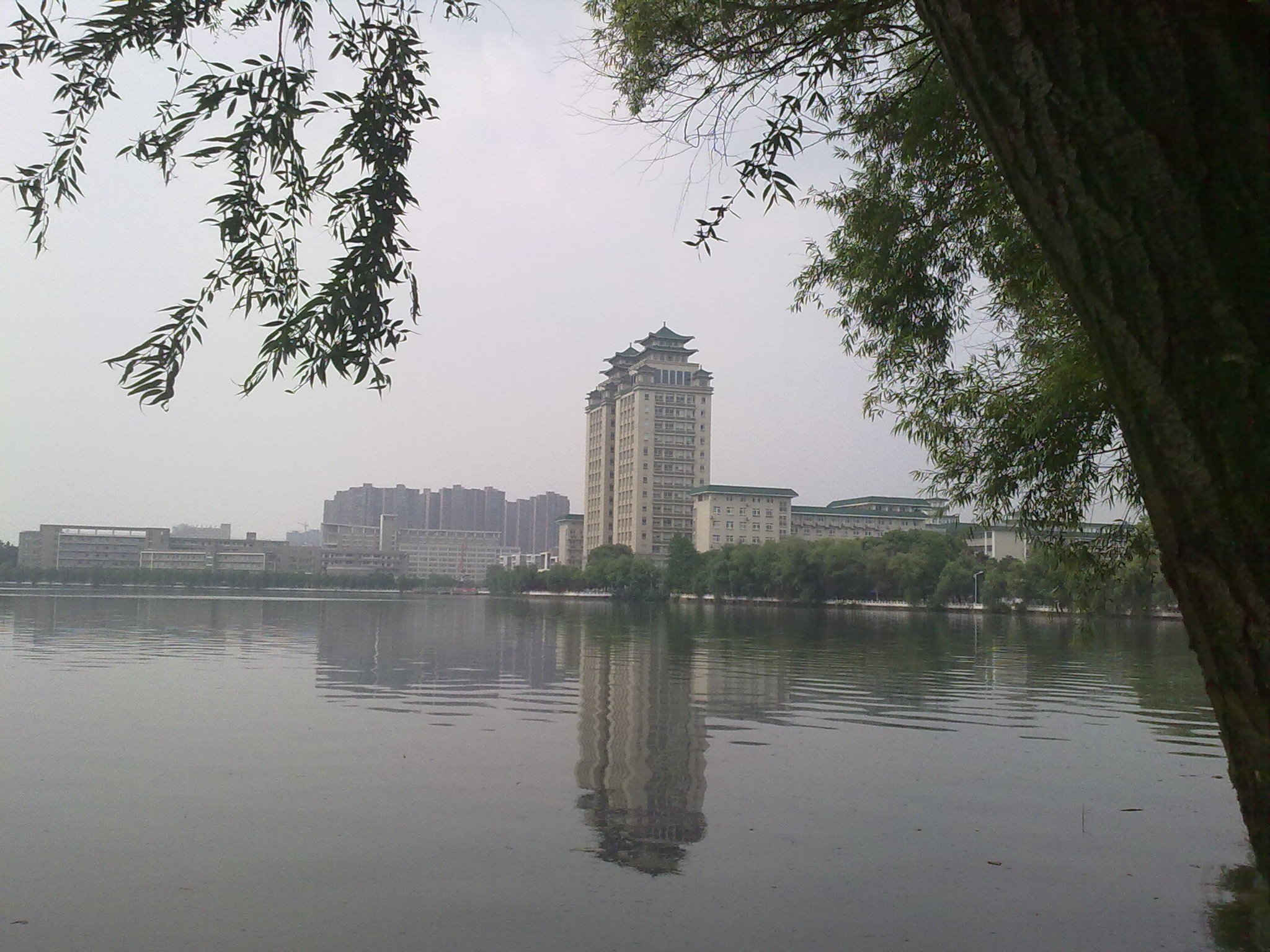 20120530702.jpg