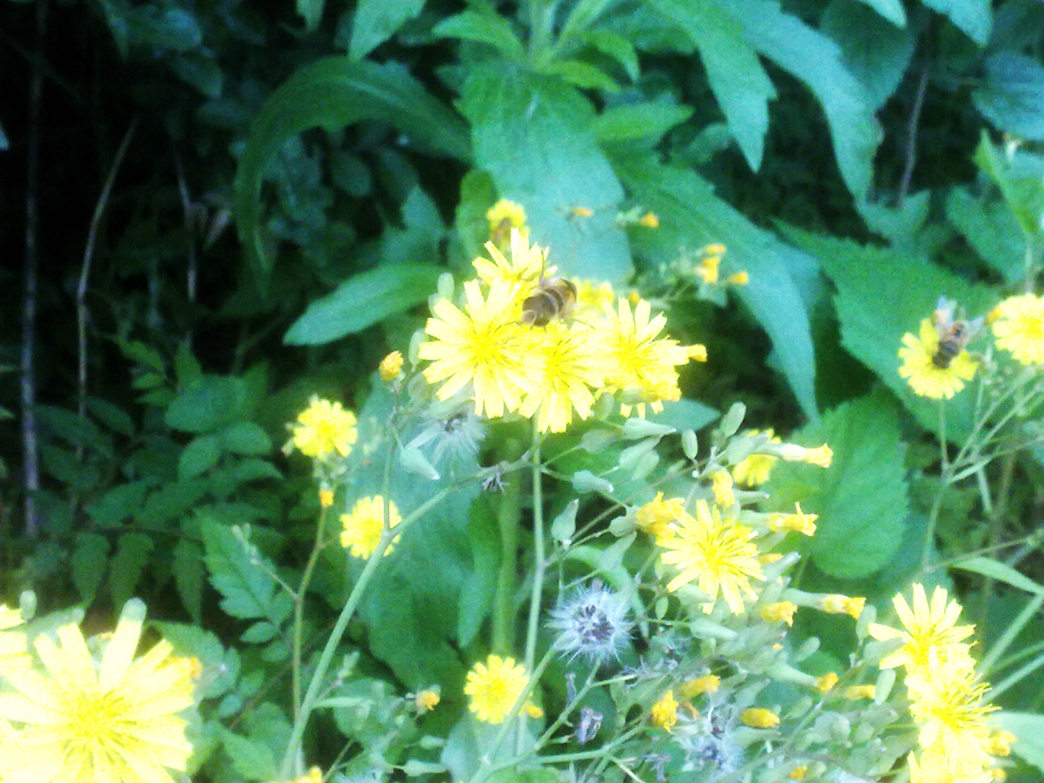20120502395.jpg
