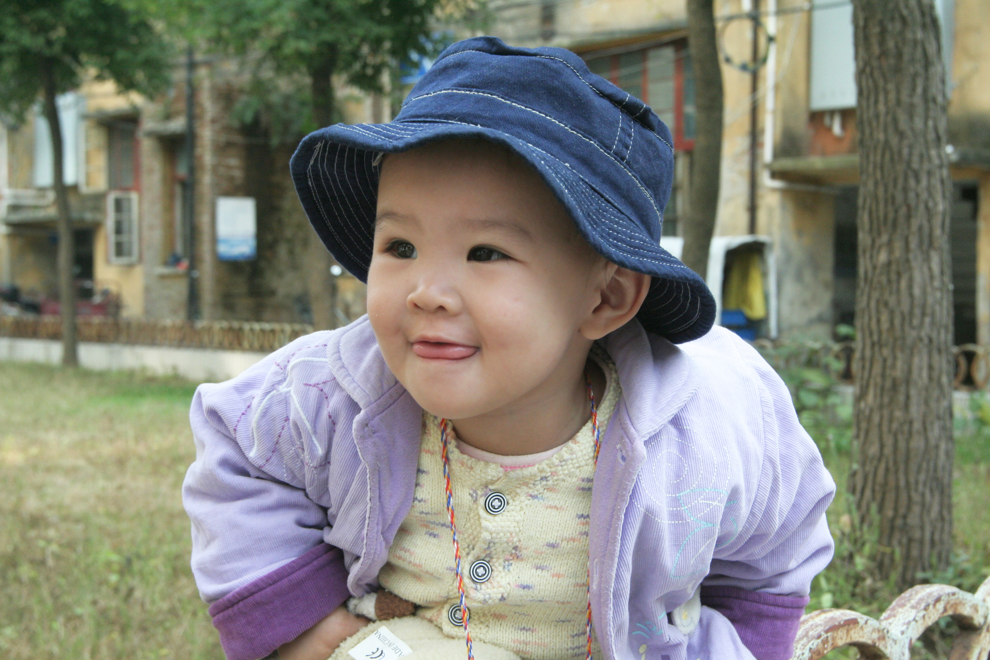 照片 528.jpg