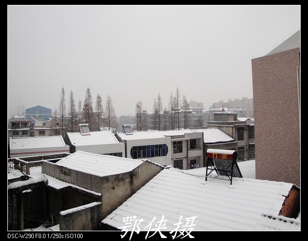 06.jpg
