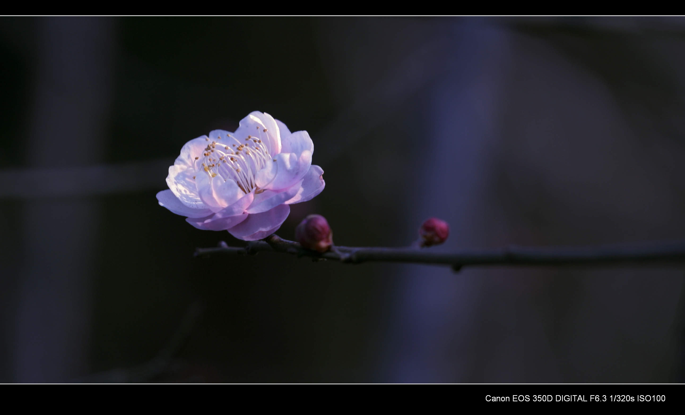 照片 730.jpg