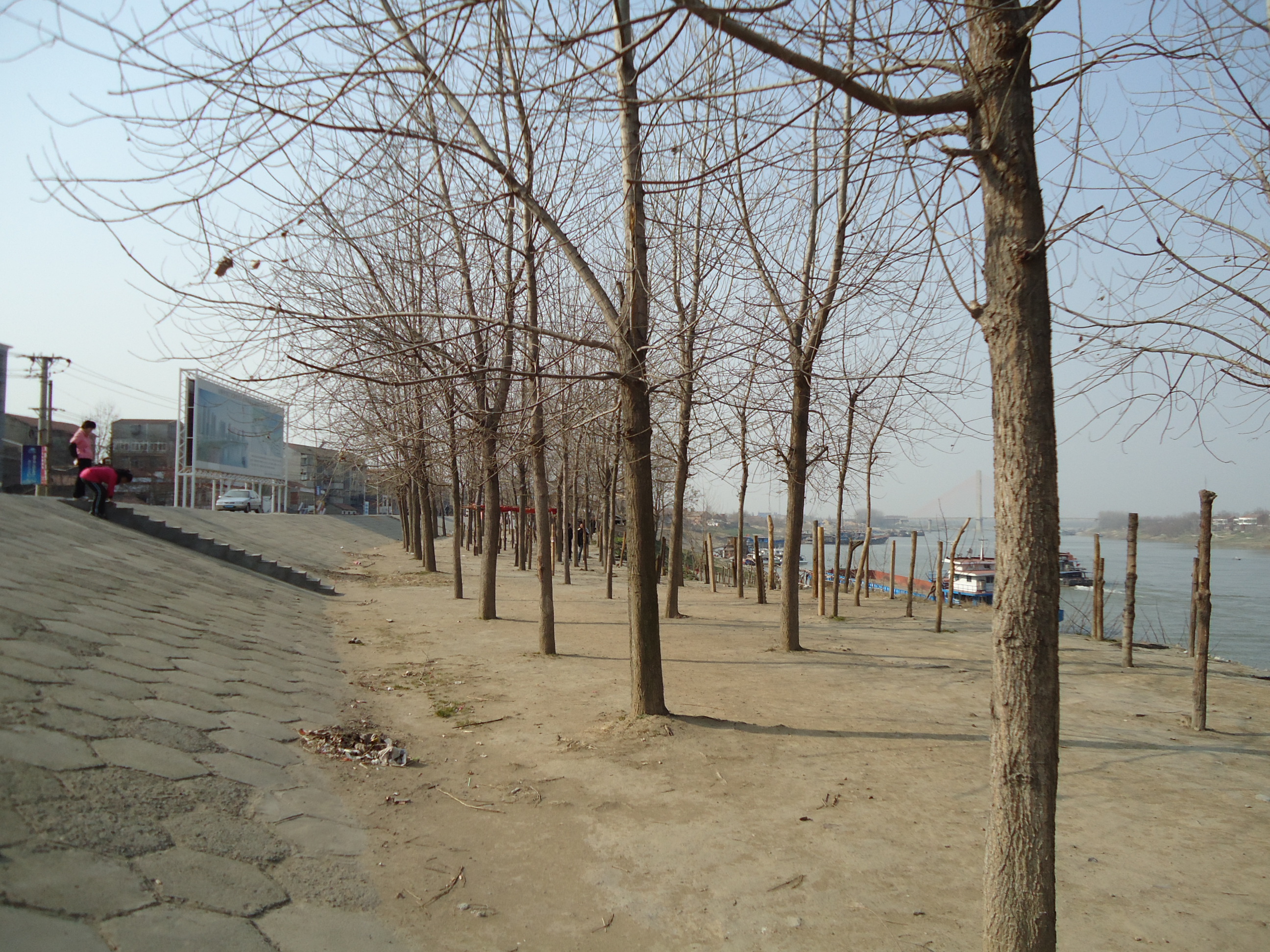 DSC01416.JPG