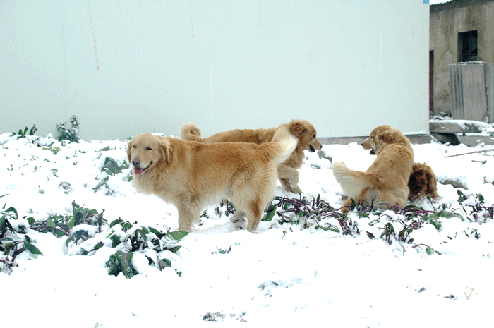 DSC_1026.gif
