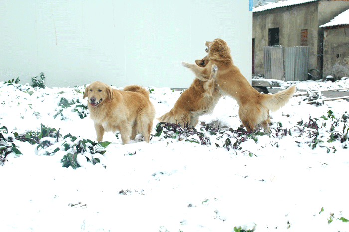 DSC_1027.gif