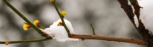 DSC_0215h.jpg