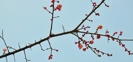 DSC_0300hh.jpg