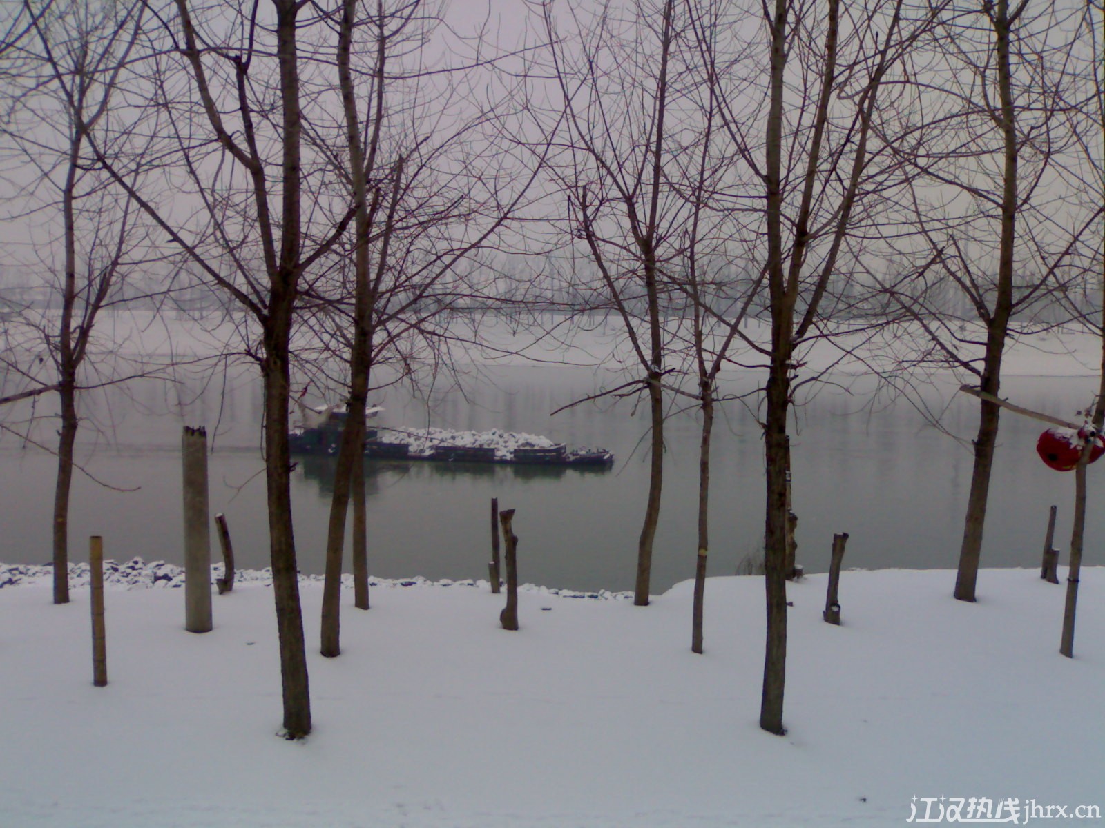 20110120619.jpg