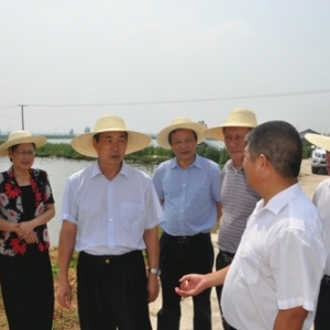 省农业厅戴贵州厅长调研仙桃市渔民专业合作社